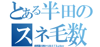 とある半田のスネ毛数（保育園の時から生えてるよねｗ）