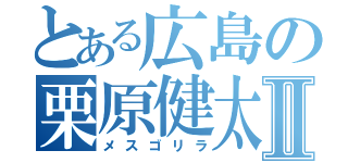 とある広島の栗原健太Ⅱ（メスゴリラ）