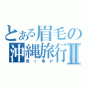 とある眉毛の沖縄旅行Ⅱ（真っ黒け）