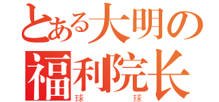 とある大明の福利院长（球球）