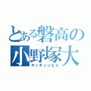 とある磐高の小野塚大（キンチュンヒョ）