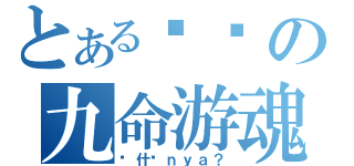 とある喵喵の九命游魂（说什么ｎｙａ？）