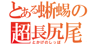 とある蜥蜴の超長尻尾　（とかげのしっぽ）