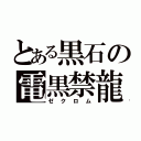 とある黒石の電黒禁龍（ゼクロム）