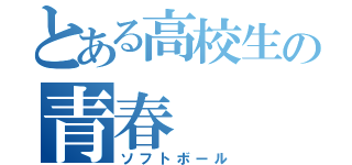 とある高校生の青春（ソフトボール）