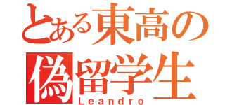 とある東高の偽留学生（Ｌｅａｎｄｒｏ）