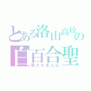 とある洛山高校の白百合聖奈（愛され主人公）