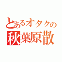 とあるオタクの秋葉原散策（）