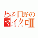 とある日野のマイクロバスⅡ（リエッセ）