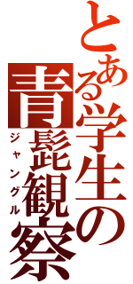とある学生の青髭観察（ジャングル）
