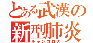 とある武漢の新型肺炎（チャンコロナ）