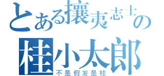 とある攘夷志士の桂小太郎（不是假发是桂）