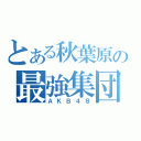 とある秋葉原の最強集団（ＡＫＢ４８）