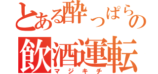 とある酔っぱらいの飲酒運転（マジキチ）