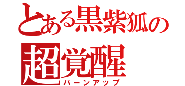 とある黒紫狐の超覚醒（バーンアップ）