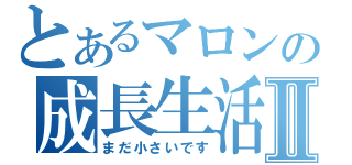 とあるマロンの成長生活！Ⅱ（まだ小さいです）