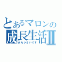 とあるマロンの成長生活！Ⅱ（まだ小さいです）