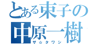 とある束子の中原一樹（ザ☆タワシ）