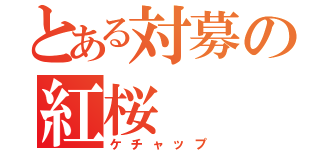 とある対募の紅桜（ケチャップ）