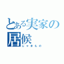 とある実家の居候（じゃまもの）