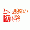 とある悪魔の初体験（スマブラ）