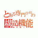 とある専門学校の構造機能学（何の話？）