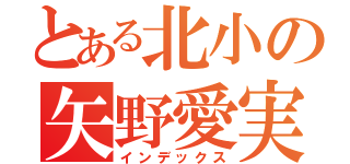 とある北小の矢野愛実（インデックス）