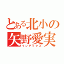 とある北小の矢野愛実（インデックス）