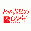 とある赤髪の不良少年（赤羽カルマ）