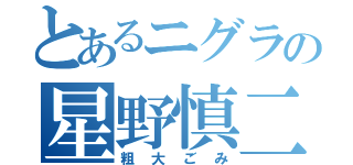 とあるニグラの星野慎二（粗大ごみ）