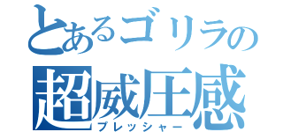 とあるゴリラの超威圧感（プレッシャー）