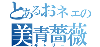 とあるおネェの美青薔薇（ギャリー）