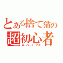 とある捨て猫の超初心者（スーパーノービス）