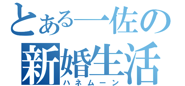 とある一佐の新婚生活（ハネムーン）