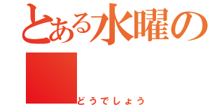 とある水曜の（どうでしょう）