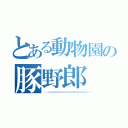 とある動物園の豚野郎（🐷🐷🐷🐷🐷🐷🐷🐷🐷🐷🐷🐷🐷🐷🐷🐷🐷🐷）