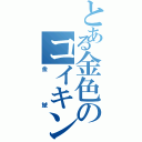 とある金色のコイキング（金鯱）