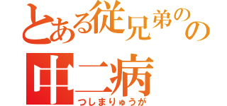 とある従兄弟のの中二病（つしまりゅうが）