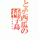 とある西瓜の種子島（タネガシマ）