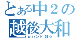 とある中２の越後大和（☆ハンド部☆）