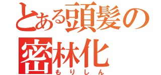 とある頭髪の密林化（もりしん）