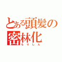 とある頭髪の密林化（もりしん）