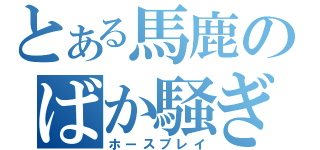 とある馬鹿のばか騒ぎ（ホースプレイ）