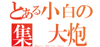 とある小白の集氣大炮（Ｓｍａｌｌ Ｗｈｉｔｅ'ｓＧｕｎ）