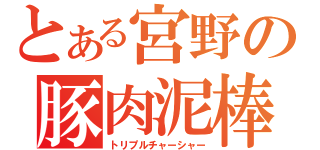 とある宮野の豚肉泥棒（トリプルチャーシャー）