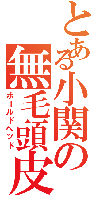 とある小関の無毛頭皮（ボールドヘッド）