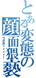 とある変態の顔面猥褻（うさみィィィィ！）