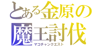 とある金原の魔王討伐（マコチャンクエスト）