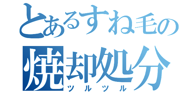 とあるすね毛の焼却処分（ツルツル）