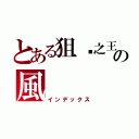 とある狙擊之王の風（インデックス）